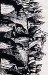 Cataplexy : And Yet...